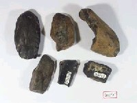 藏品(碎骨片)的圖片